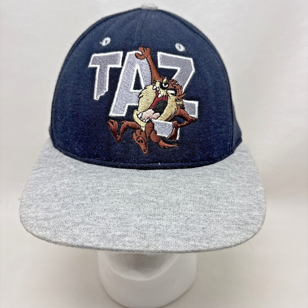 VTG 90s Tasmanian Devil Baseball Hat Blue Gray Looney Tunes Embroidered 1997 Taz